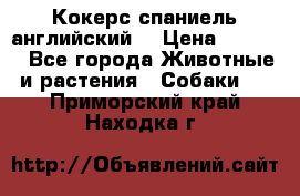 Кокерс спаниель английский  › Цена ­ 4 500 - Все города Животные и растения » Собаки   . Приморский край,Находка г.